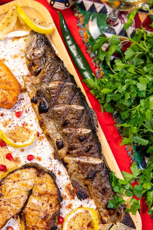 PĂSTRĂV (Trout / Форель)